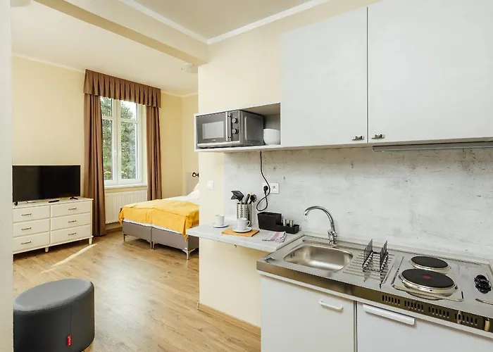 Apartmanovy Dom Grand - Contactless Check In מלון דירות